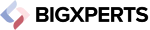 Bigxperts