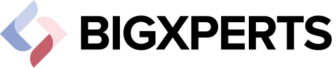 Bigxperts