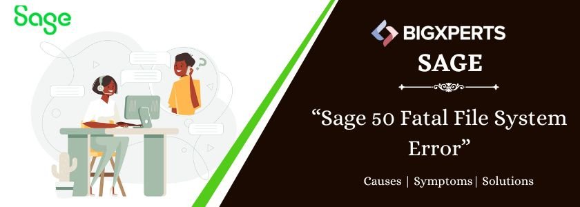 Sage 50 Fatal File System Error