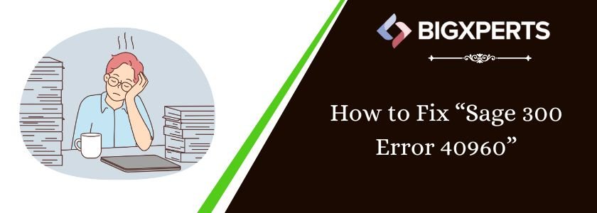 troubleshoot Sage 300 Error 40960