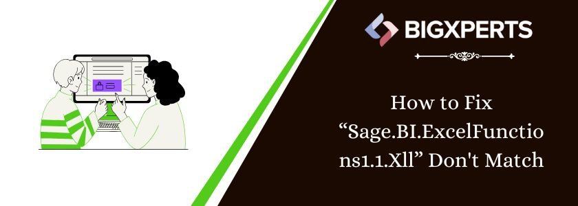 Sage.BI.ExcelFunctions1.1.Xll Don't Match