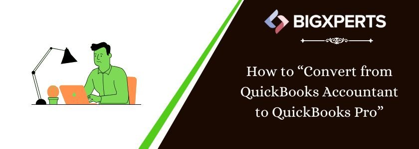 Convert QuickBooks Accountant to QuickBooks Pro Version