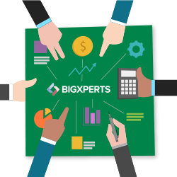 Why choose bigxpert